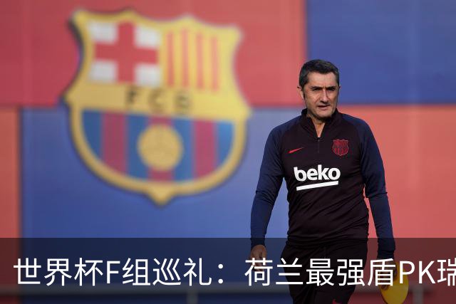 世界杯F组巡礼：荷兰最强盾PK瑞典犀利刀 日本短板明显