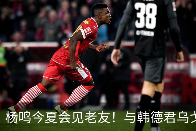 杨鸣今夏会见老友！与韩德君乌戈聚餐超开心，搭档哈德森参加活动