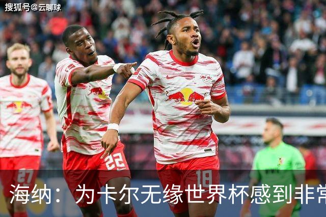 海纳：为卡尔无缘世界杯感到非常遗憾 他的未来依然无比广阔