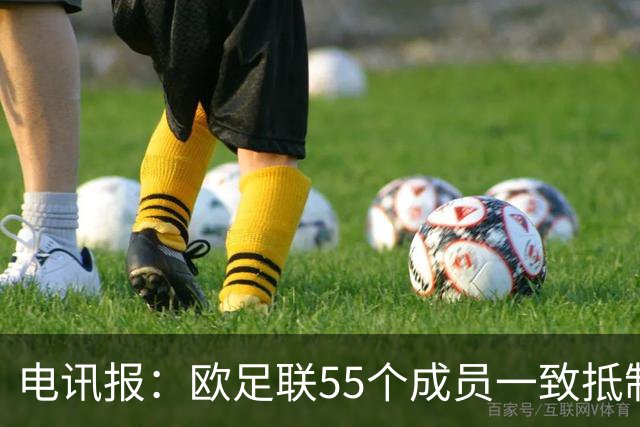 电讯报：欧足联55个成员一致抵制世界杯私有计划，30多个成员发言
