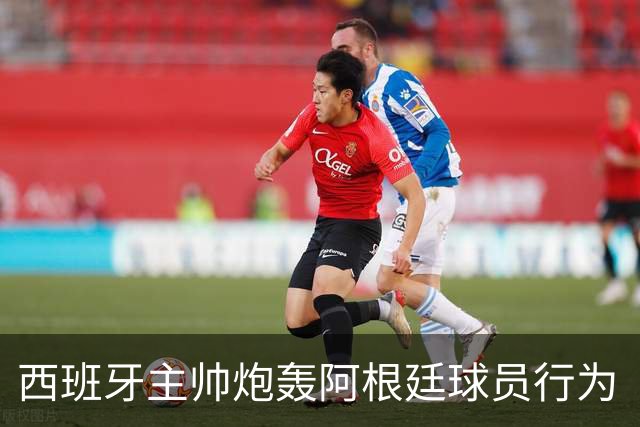 西班牙主帅炮轰阿根廷球员行为“不可容忍”，FIFA已启动调查