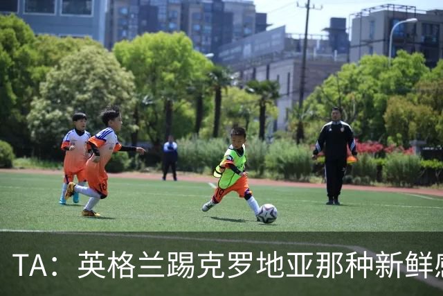 TA：英格兰踢克罗地亚那种新鲜感又没了，甚至回到了熟悉的样子